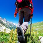 La inclusión alcanza la cima