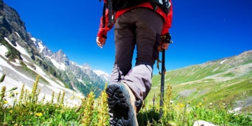 La inclusión alcanza la cima