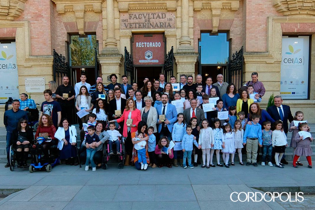 Los frutos de la ilusión del Fidias