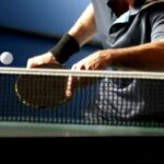 Vitoria-Gasteiz tras la red  