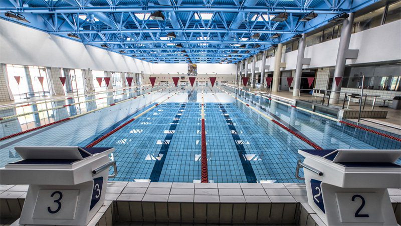 De Sierra Nevada a México