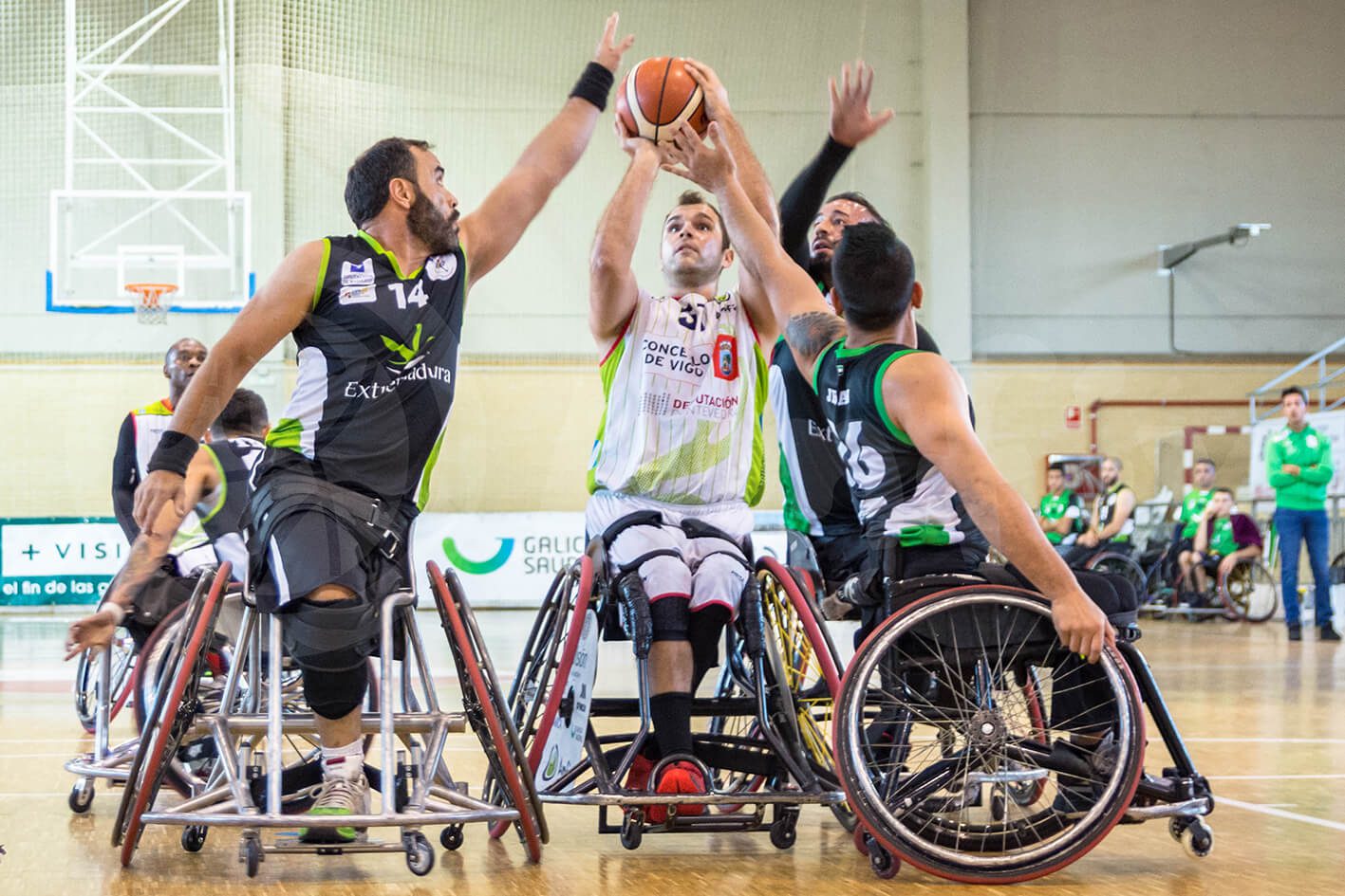 Los cinco 'magníficos' del Amfiv obran otro triunfo