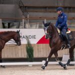 La doma adaptada española inicia su camino hacia el Europeo