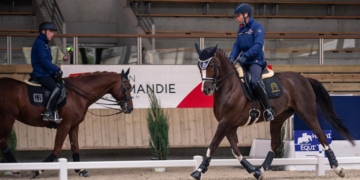 La doma adaptada española inicia su camino hacia el Europeo