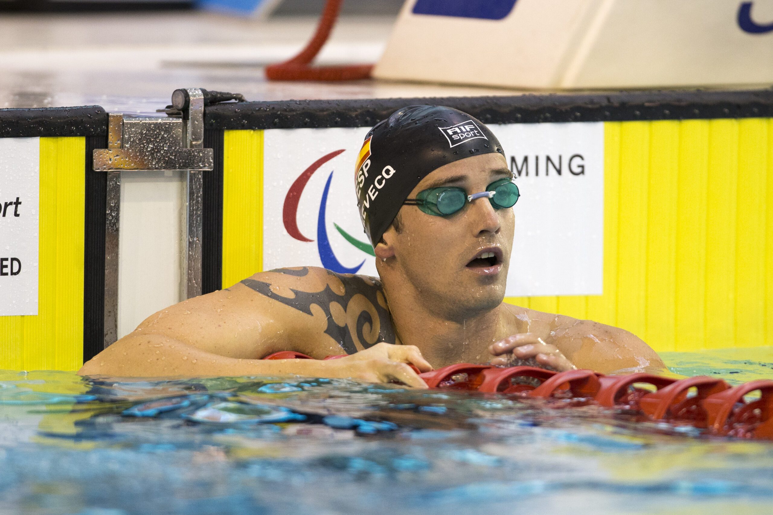 David Levecq, un veterano de rostro sereno en la piscina