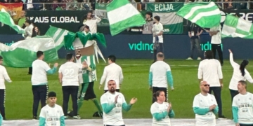 Semana de la discapacidad en verde y blanco