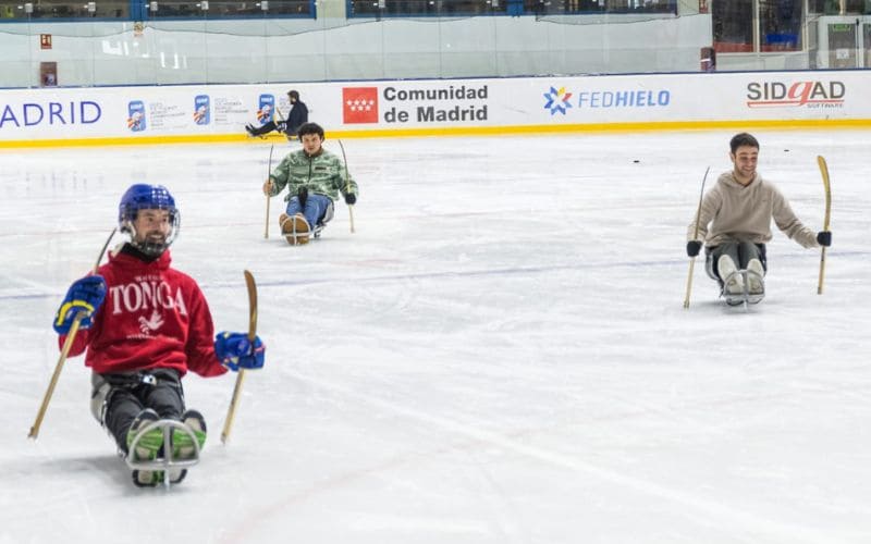 La RFEDH anuncia unas jornadas de puertas abiertas para impulsar el hockey sobre hielo paralímpico